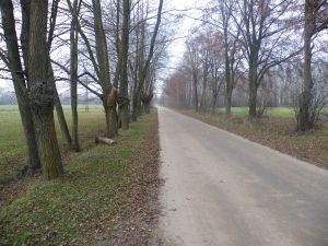 ul. Słoneczna - przed realizacją inwestycji